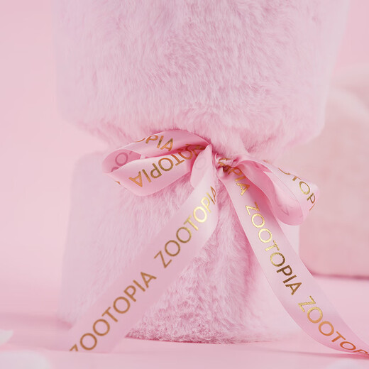 Disney Zootopia Nick Judy Süße Vollcore Doll Bouquet Plüschspielzeug Geburtstagsgeschenk weibliche Abschlussgeschenk