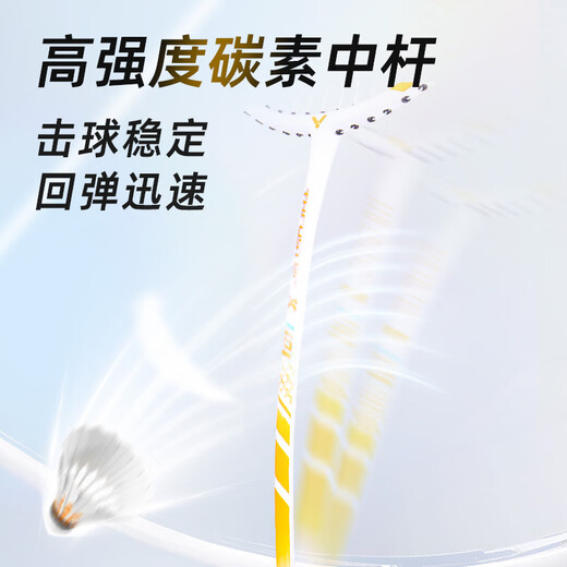 威克多胜利羽毛球拍进攻碳铝TK1101X(亮金)单拍（已穿线附手胶）