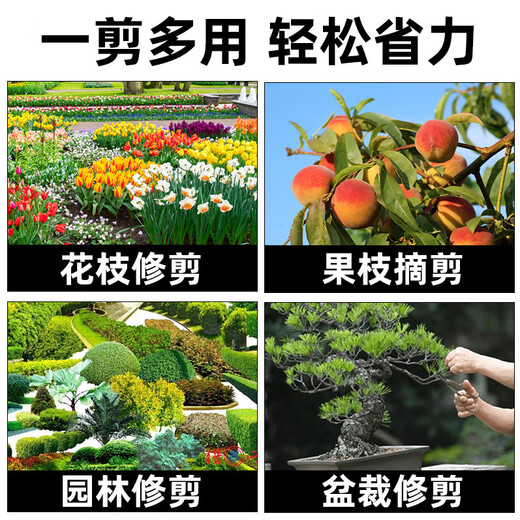 Factory No. 1 7-inch gardening scissors, fruit branch scissors, garden pruning scissors, household pruning scissors, fruit branch scissors orange