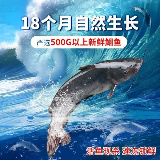 筷手小厨麻辣青花椒蒜香烤鱼精选鮰鱼 2-3人份 方便预制菜半成品加热即食 麻辣烤鱼 698g