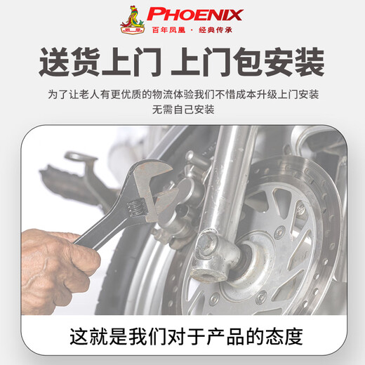 Phoenix (Phoenix) cool electric tricycle household small elderly walking electric vehicle tricycle elderly leisure battery car 600W丨48V20A lead-acid + battery life about 40 kilometers