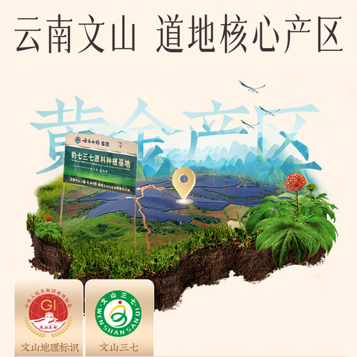 Yunnan Baiyao Panax notoginseng fine powder 225g Wenshantian Qibiao wall powder dispersing blood stasis to stop bleeding, swelling and pain, three high-conditioning powder for middle-aged and elderly people