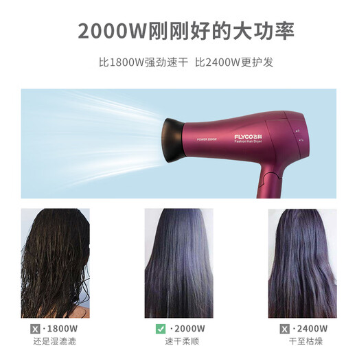 飞科电吹风机家用负离子护发大功率可折叠学生宿舍电吹风筒FH6618 FH6231【2000W家用恒温护发款+可折叠】