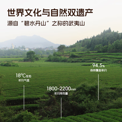 孝文家茶乌龙茶武夷岩茶奇香大红袍一级149.4g茶叶礼盒装 口粮茶