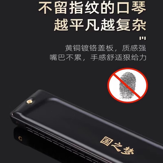 Guoguang Old Domestic Harmonica Performance professionnelle Niveau 28 trous Advanced Adult Beginners 24 trous Performance de cadeau C-Key C-Key 28 trous Polyphon C-Key