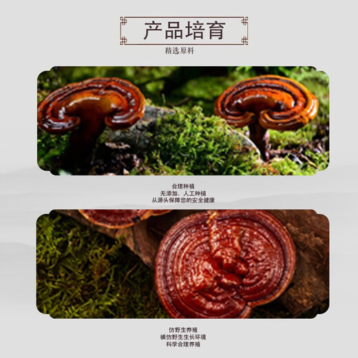 北京同仁堂破壁灵芝孢子粉胶囊增强免疫力保健食品营养品增强免疫力探病礼物 【黑盒破壁灵芝孢子粉】2盒装