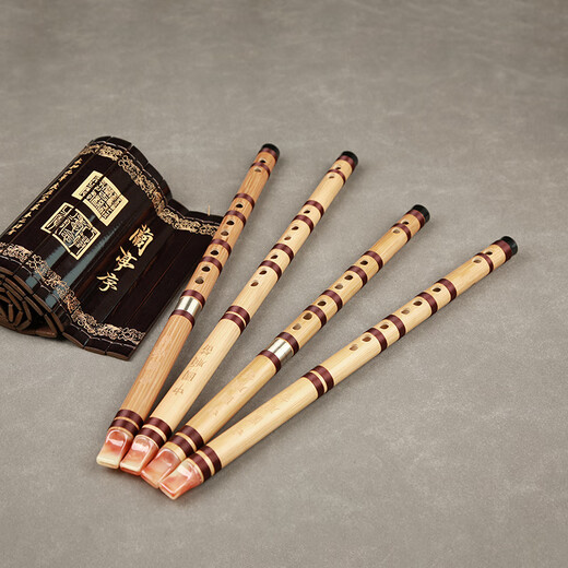 Qinyin Grund- und Mittelschüler Recorder ohne Film 6 Löcher FG Melodie Chinese Shundi Sechs Löcher Kinderleistung Anfänger Ethnisches Musikinstrument Chinesisch Shundi G Ganz (Plastikmund)