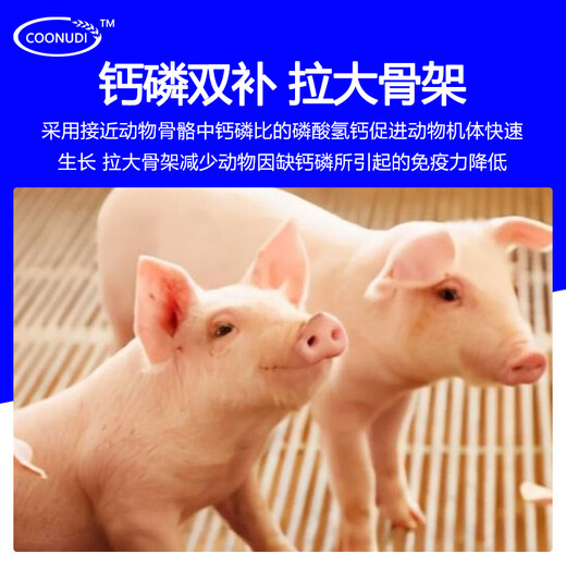 Zhengzhou Kangdi 8% piglet premix highly nutritious self-ingredient piglet feed with pulled skeleton and shiny fur 1 bag sent directly from the manufacturer (express delivery)