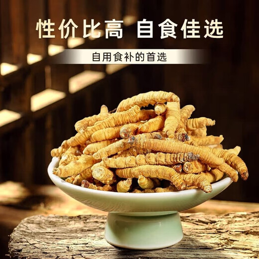 【支持质检】大断草正宗冬虫夏草断草虫草断草自食滋补正品纯肉节 断虫草10克送1克