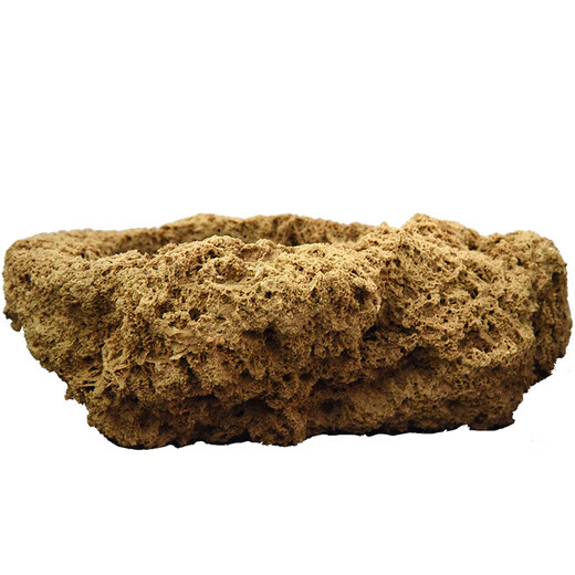 Stone flowerpot absorbent stone water stone original stone natural flowerpot with asparagus bamboo calamus succulent plant micro landscape pot 13-17cm stone pot + tempered rectangular holder