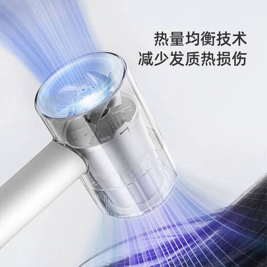 Hair dryer for home negative ion hair care dormitory use for students foldable high-power hair dryer that does not hurt the hair dryer Feike hair dryer youthful color fh6296 free