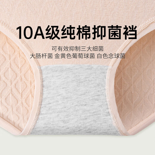 莫代尔内裤女士纯棉100A类全棉夏季薄款无痕抗菌少女大码中腰三角短裤 云粉+浅蓝+奶杏+芋紫 4条 L 【建议100-125斤】