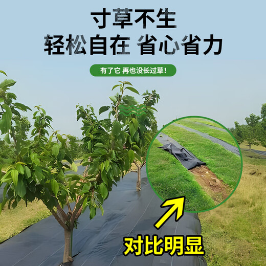 Agricultural grass-proof cloth, weed-killing cloth, agricultural ground cloth, fruit tree cover cloth, grass-shading cloth, black mulch film, durable punched slices, anti-aging fruit tree special punched slices, 1*1 meter, 20 sheets, free closing nail