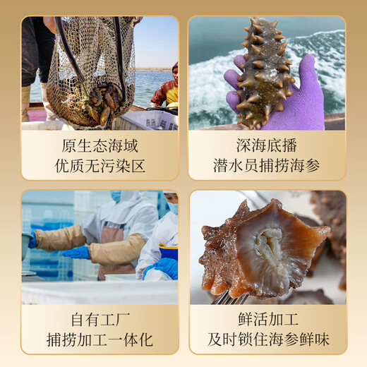 Gongyi Dalian ready-to-eat sea cucumber 2Jin Jin equals 0.5kg 20-30 pieces Home decoration No soaking bottom sowing sea cucumber fresh sea cucumber processing