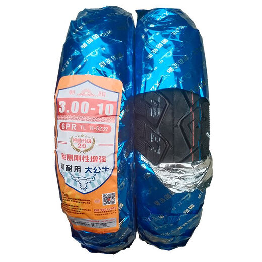 何佳功大力神真空胎300一10电动车轮胎3.00-10轮胎14X3.2踏板车外胎 朝阳3.50-10/4层H679 经济型