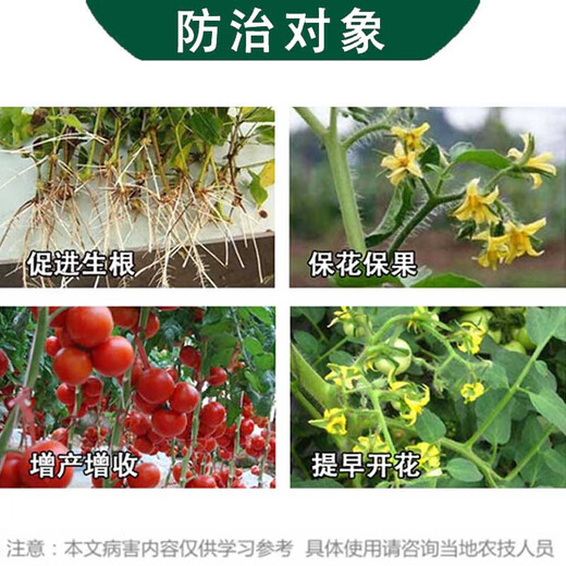 Jianpai Quanjiaxing 1.8% Sodium Nitrophenolate Aqueous Agent Tomato Tomato Growth Regulator Pesticide Plant Growth Regulator 500g*1 Bottle