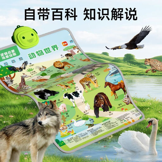 小儒童婴幼儿童早教发声挂图中英双语认知启蒙挂画地图点读学习机玩具 【场景挂图】英文字母1张