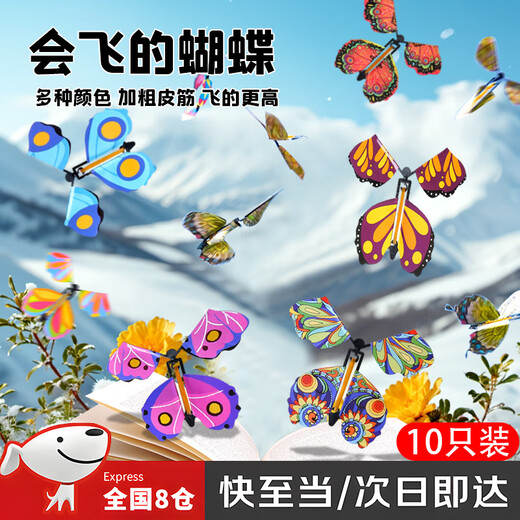 Nufeng Flying Butterfly Children's Outdoor Toy Spray Flower Gift Box Boomerang Bamboo Dragonfly Park Essential Artifact for Spring Tour Flying Butterfly 10 Pack (Random Color)