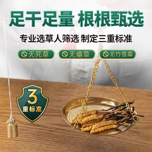 Zangzhiweng hohe Höhe Cordyceps Sinensis Ausgewählte erste Stoppeln getrockneter Cordyceps High-End-Ernährungs-Geschenkbox für Älteste an Führungskräfte an Kunden 4 Stäbchen/Blick insgesamt 50 Gramm [gesunde und Ernährung, zuverlässige Qualität]