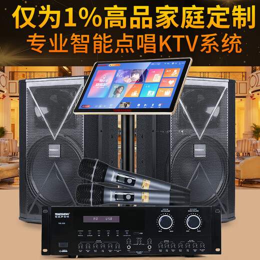 TEMEISHENG 特美声TK912KTV家庭音响组合套装专业效果器功放智能点唱KTV系统语音点歌ktv音响套装ktv音响家用 TK912套装+美声话筒+2T点歌机