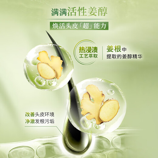 施华蔻（Schwarzkopf）生姜精华洗发露600ml  持久控油清爽蓬松洗发水 无硅油洗头膏