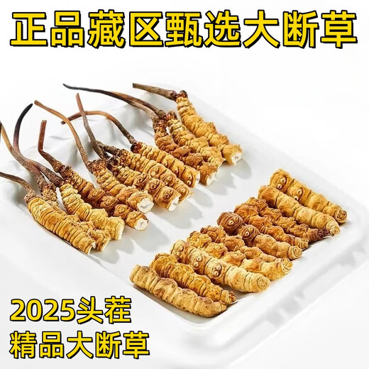 虫草断草高海拔冬虫夏草断虫草正品断草自用冬虫夏草泡酒补品药材 藏区精品大号断虫草20克装