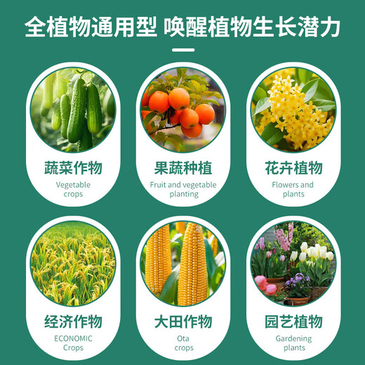 Potassium dihydrogen agricultural fertilizer, vegetable, fruit, tree and corn special foliar fertilizer 25kg packaging