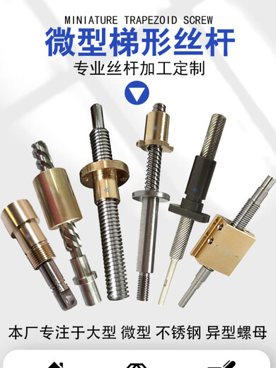 Renjuyi Tornillo T de acero inoxidable Tornillo de cobre Tuerca de tornillo trapezoidal Tornillo Punto de procesamiento personalizado T350609T3524
