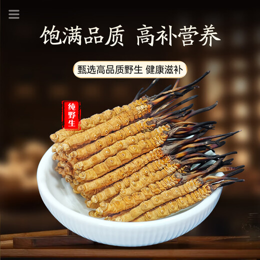昭鹰之峰【野生】冬虫夏草 西藏那曲高海拔头期新干虫草 补品长辈礼物礼盒 那曲野生4根/克 40根 藏韵礼盒装【店铺热销】