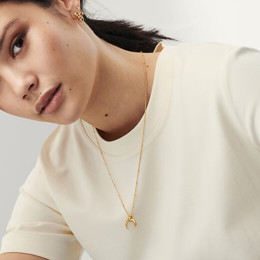 Yuansi ox horn zodiac pendant necklace, personalized and fashionable ins style golden small gold beads clavicle chain clavicle chain gold