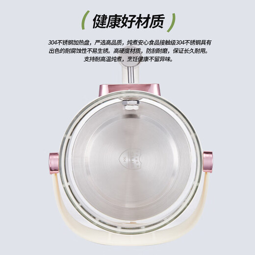 Healthy tea pot, stew, all-in-one teapot, kettle, household flower teapot, large capacity thermostatic kettle, hot water kettle, split type with filter, 3L flower tea health pot