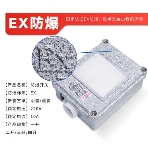 Jingzhu EX logo explosion-proof wall switch 220V metal switch exposed and concealed 86 type 10A industrial waterproof and dustproof indoor and outdoor Jingcang Sufa one-open single control