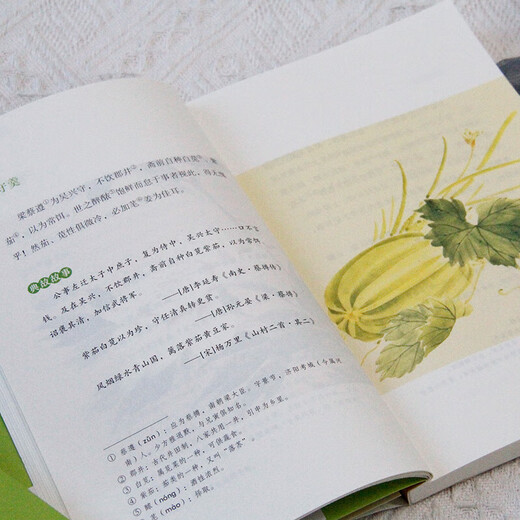Xinhuashan Family Qing Gong (eines der vier großartigen Essen und köstlichen Bücher in der Antike, Song Volks Lebensinteressenbücher, chinesische Leben Ästhetische Klassiker) SN1924SN9928