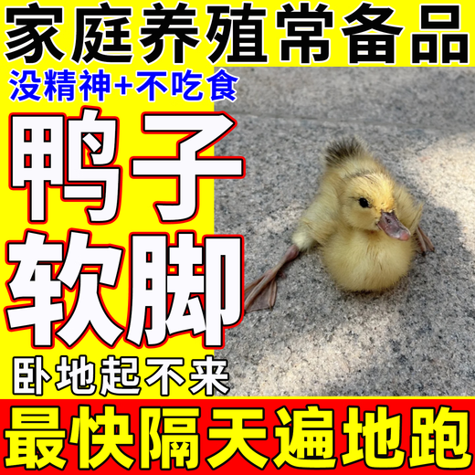 Freeze-dried powder for ducks that can't stand up. Poultry disease and chicken disease can be completely cured. Special soft foot serositis for chickens and ducks. One bag of special medicine for soft feet of ducks.