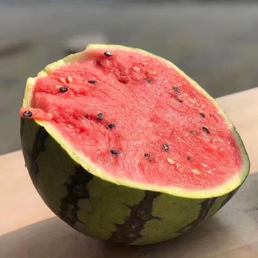Super sweet 18 degree rock sugar Kirin watermelon seeds super 8424 sweet, crisp, juicy and crack-resistant thin-skinned round watermelon seeds 400 capsules bag Jinmeidu 2 cans