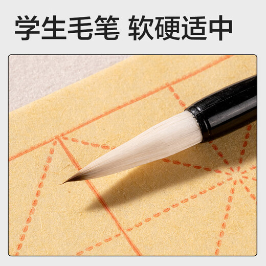 Deli (deli) study supplies calligraphy set four treasures of the study brush inkstone calligraphy tools beginners copy study set 7-piece set (mixed) (bag) school supplies