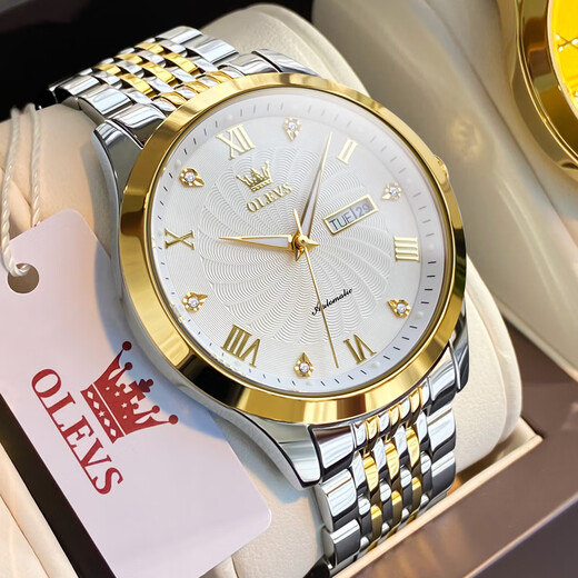 Amani Watch Popular Watch Men Mené Mecánico Comercio mecánico de alta gama Ciclón de alta gama Impermeable Doble Calendario Reloj Cinturón de acero-6630 habitaciones blancas de oro