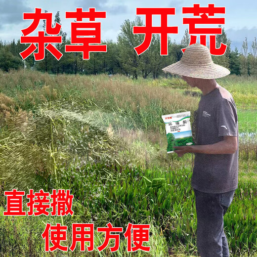 Cyclazinone is a special medicine to remove dead trees and rotten roots of large trees. Herbicide is a special medicine to remove big trees and remove rotten roots of bamboo. Genuine Cyclazinone 20Jin Jin is equal to 0.5kg