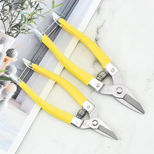 RSRDDYA grade Luoding fruit scissors, medium yellow, small yellow and thin fruit scissors, garden scissors, stainless steel fruit picking scissors, orange pruning pruning, vegetable and fruit scissors, large - yellow Luoding fruit picking scissors, 10 pieces