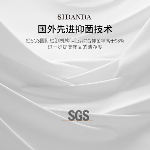 
SIDANDA down quilt 5A grade 95 white goose velvet 120 cotton antibacterial filling 1365g thickened winter quilt 220*240cm