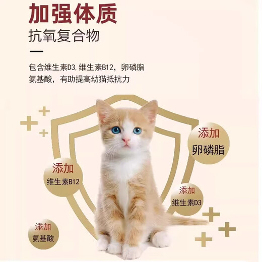 OUOETY cat food 10 Jin Jin is equal to 0.5 kg. Ordinary kitten special food for domestic cats. Rural cat food. Chinese pastoral cat. Orange cat. Adult cat. Affordable package. High-end general food. 10 Jin Jin is equal to 0.5 kg (fattening gills) 0b