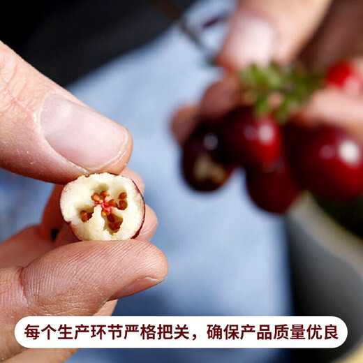 
Youxianpei Chile imported dried cranberries 1049g original flavored candied fruits baking ingredients and snacks