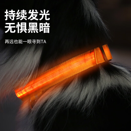 Cute Star Pet Dog Luminous Collar LED Neck Collar Long Life Cat Teddy Golden Fur Border Collie Pet Supplies Size S
