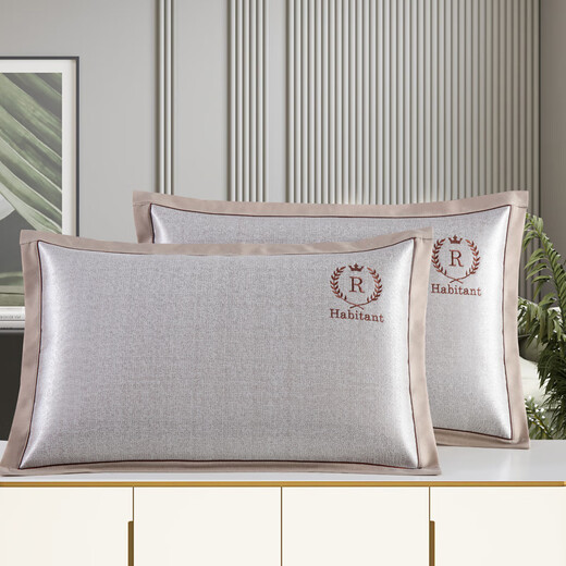 Écoute d'oreiller en soie de glace d'été Double face Été Cool Mat Oreiller Core Core Single Rattan Pouteau d'oreiller adulte Home One Paire Ice 679-7 Zishulin Worew Case (une paire) 48x74cm