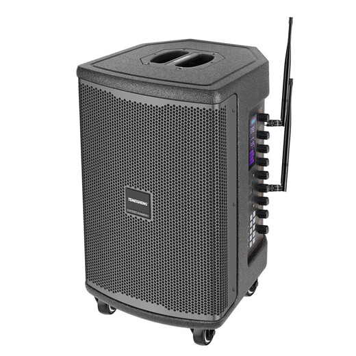 TEMEISHENG JT10-66 outdoor musical instrument road show karaoke high-end electric acoustic guitar saxophone playing and singing live broadcast sound box 10 inches + 2 metal microphones + 2.4G wireless headset free luxury gift