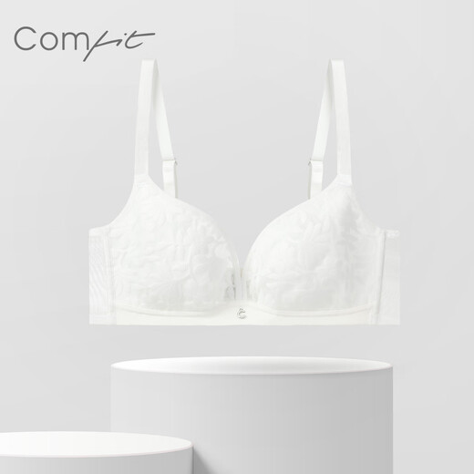 Comfit【花影风巢杯】无钢圈大胸显小大码内衣女舒适透气文胸CBW0195 乳白色CRM 75C