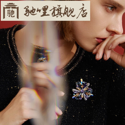 Chili French original design brooch, high-end temperament, autumn and winter accessories, collar pin, corsage, Mother's Day gift 2025, blue and purple