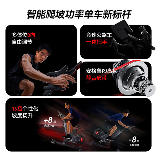 Merrick MR-S40 Intelligent Climbing Power Training Dynamic Bike Professional Cycling Electric Incline Exercise Bike Gray