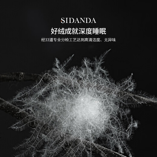 
SIDANDA down quilt 5A grade 95 white goose velvet 120 cotton antibacterial filling 1365g thickened winter quilt 220*240cm