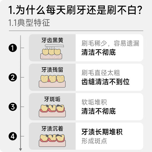 Yang Elf Gum Protection Powerful Stain Remover Toothbrush Soothes Gums and Cleanses Long and Wide Head Men's Special Medium-hard Bristles Large Brush Head Adult Double